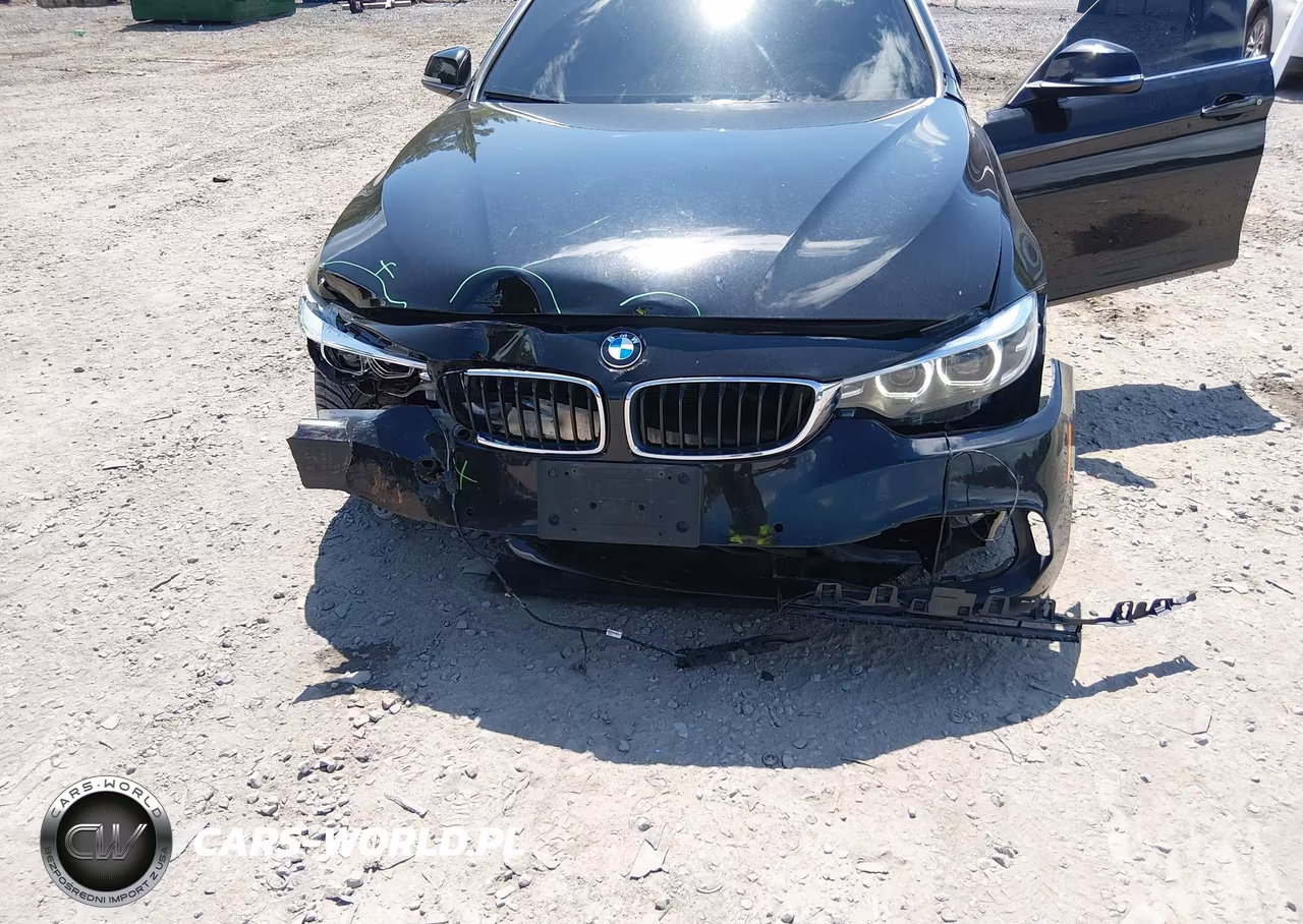 2019 BMW 430I Gran Coupe xDrive VIN:WBA4J3C53KBL08548 - 6