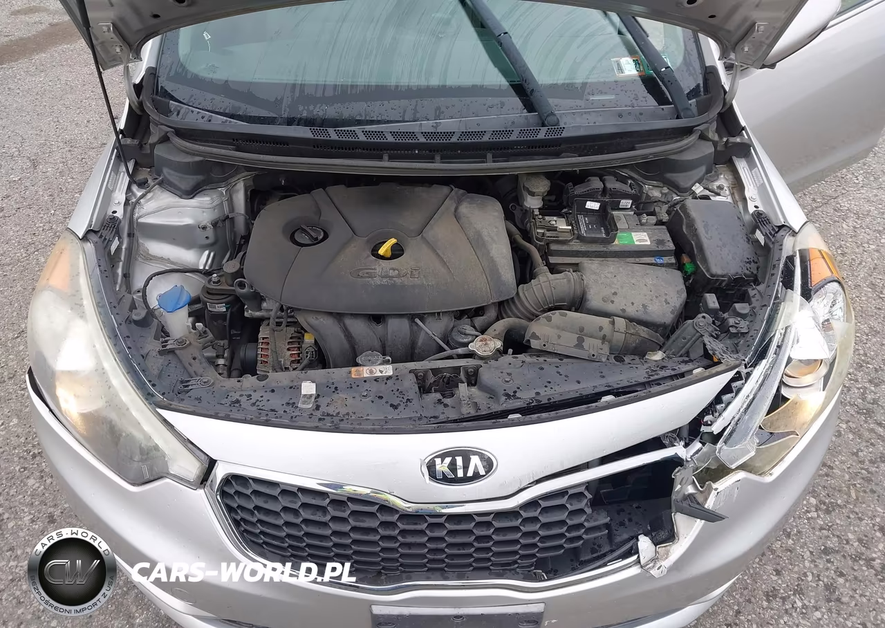 2015 Kia Forte Ex VIN:KNAFX5A88F5308288 - 10