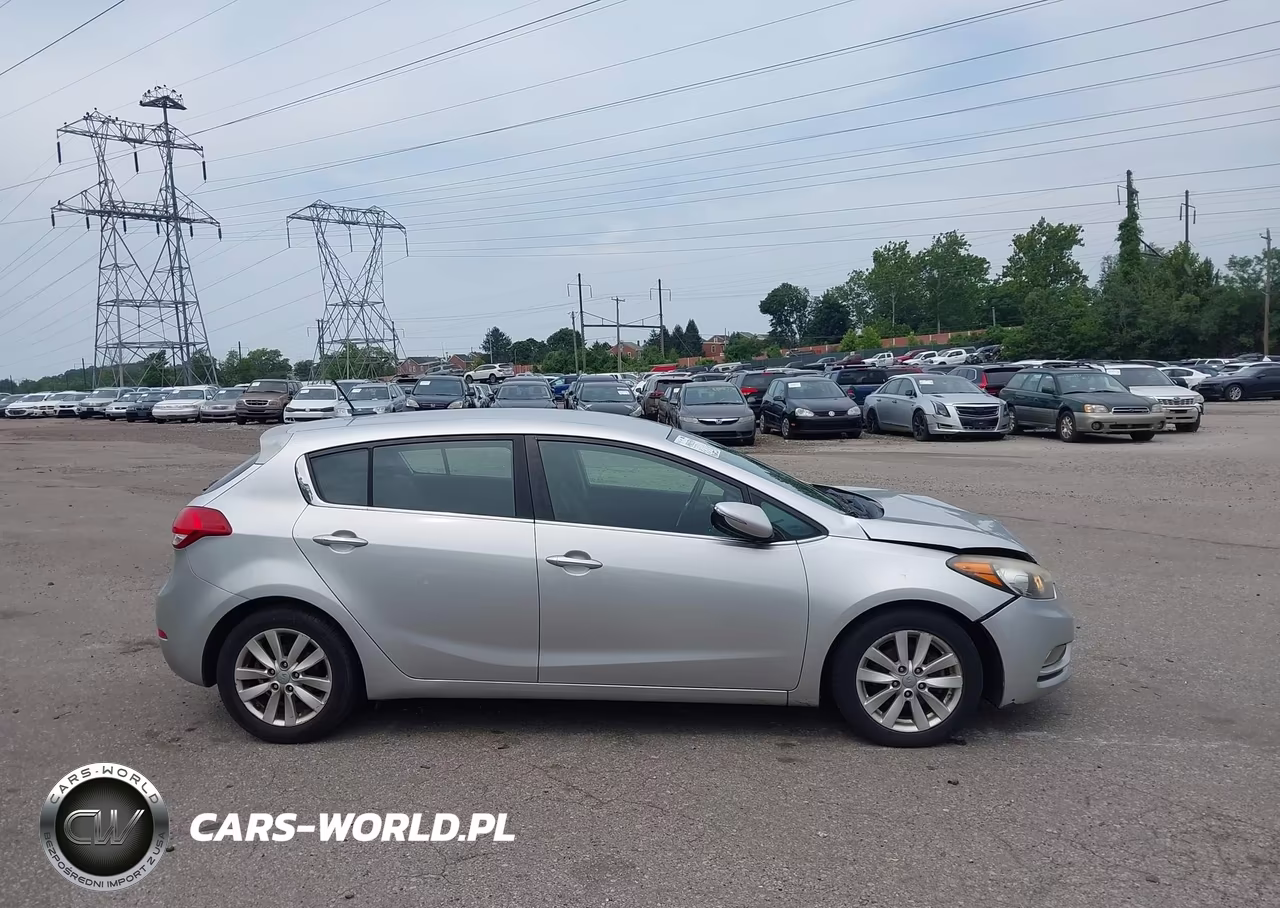 2015 Kia Forte Ex VIN:KNAFX5A88F5308288 - 13