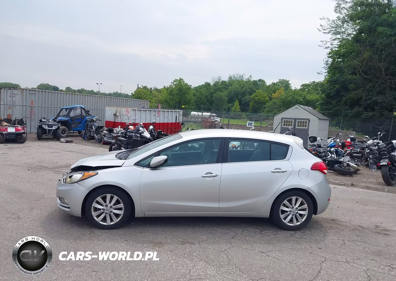 2015 Kia Forte Ex VIN:KNAFX5A88F5308288 - 14