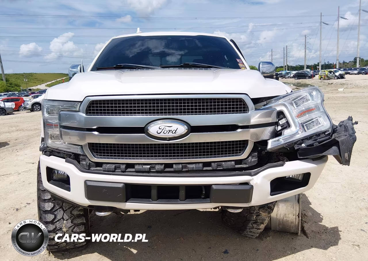2018 Ford F-150 Platinum VIN:1FTFW1E1XJFE60149 - 12