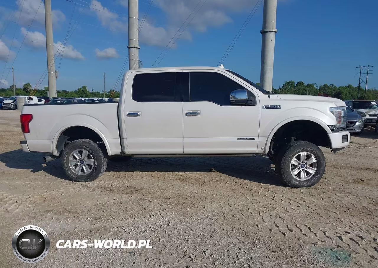 2018 Ford F-150 Platinum VIN:1FTFW1E1XJFE60149 - 13