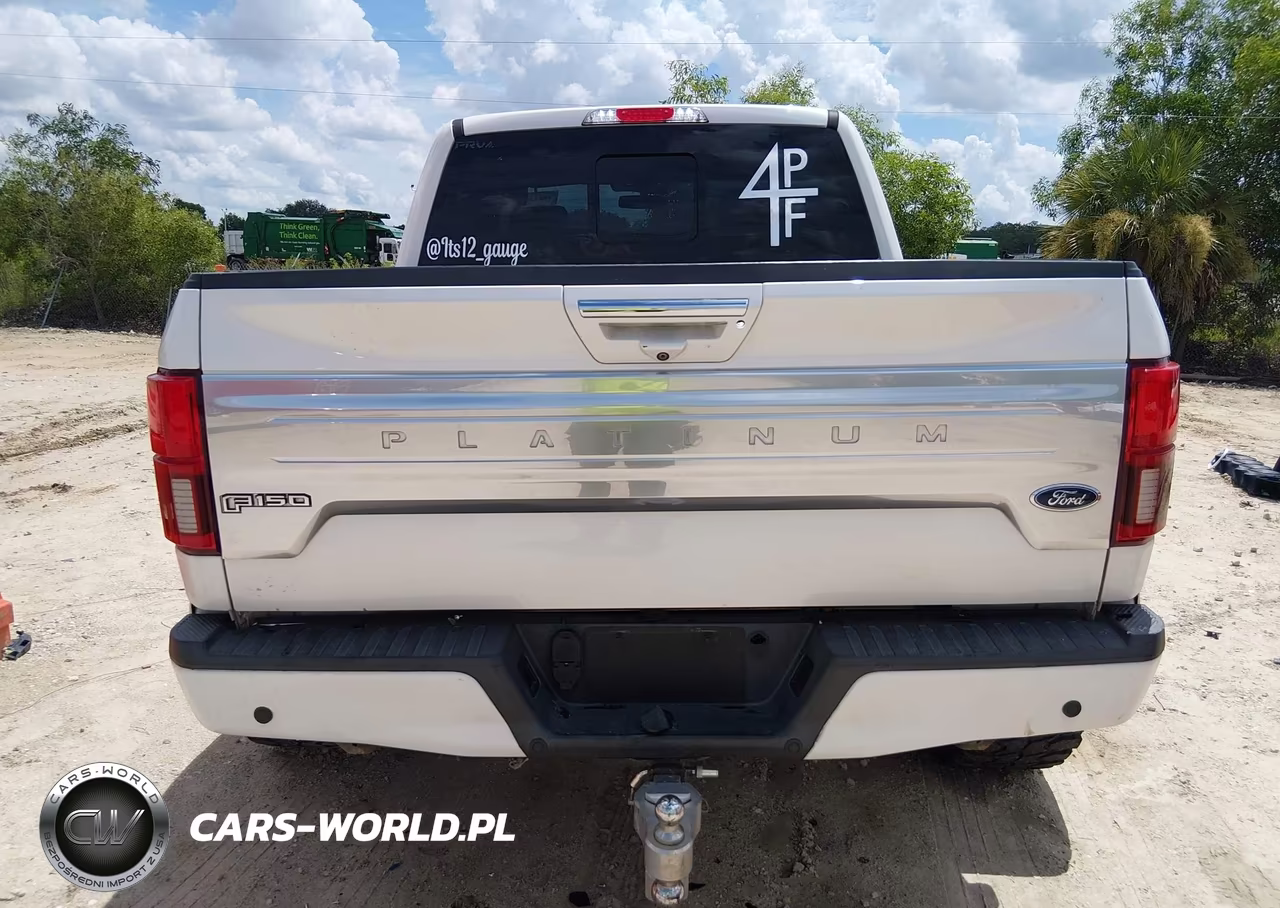 2018 Ford F-150 Platinum VIN:1FTFW1E1XJFE60149 - 16