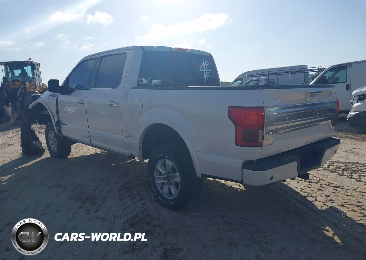 2018 Ford F-150 Platinum VIN:1FTFW1E1XJFE60149 - 3