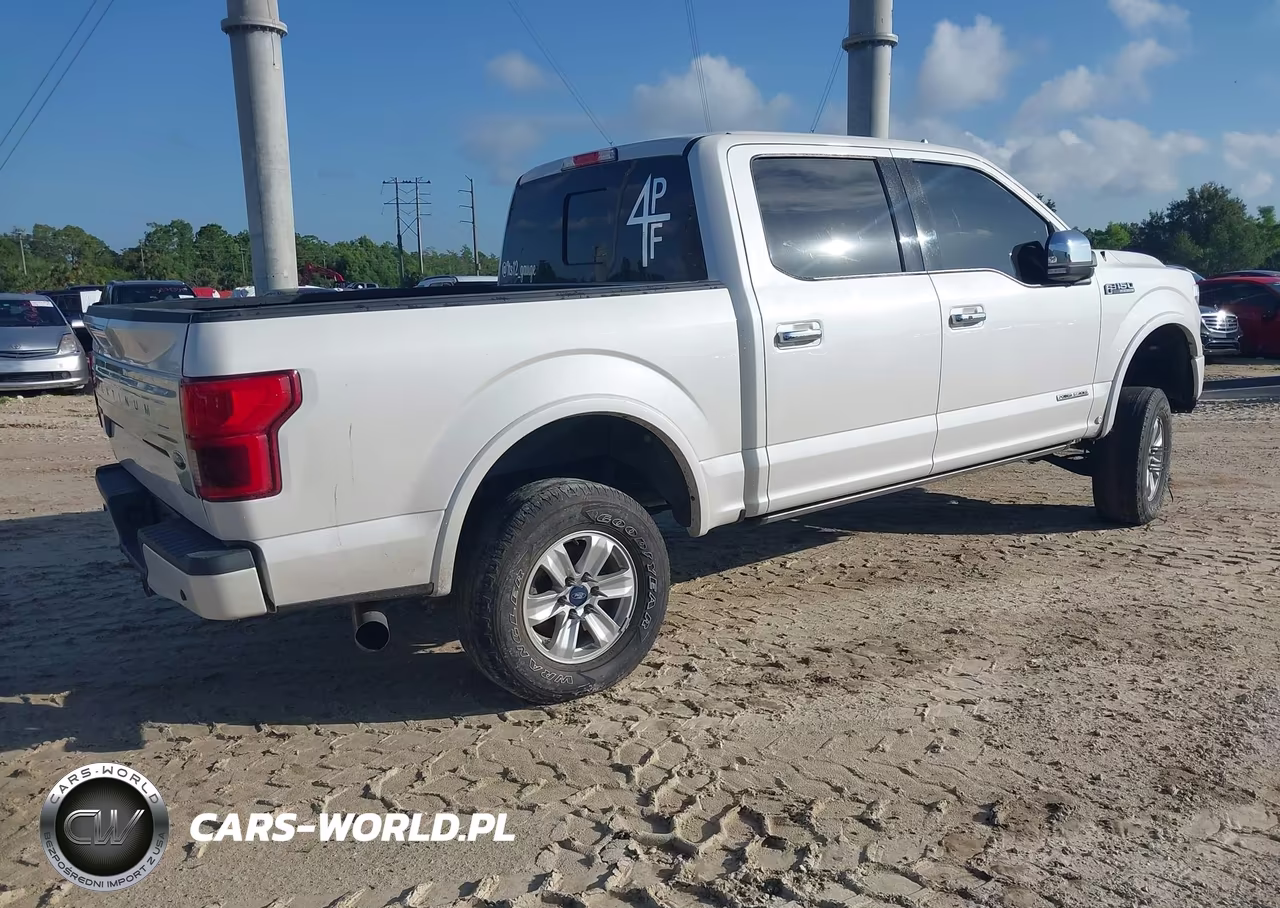 2018 Ford F-150 Platinum VIN:1FTFW1E1XJFE60149 - 4