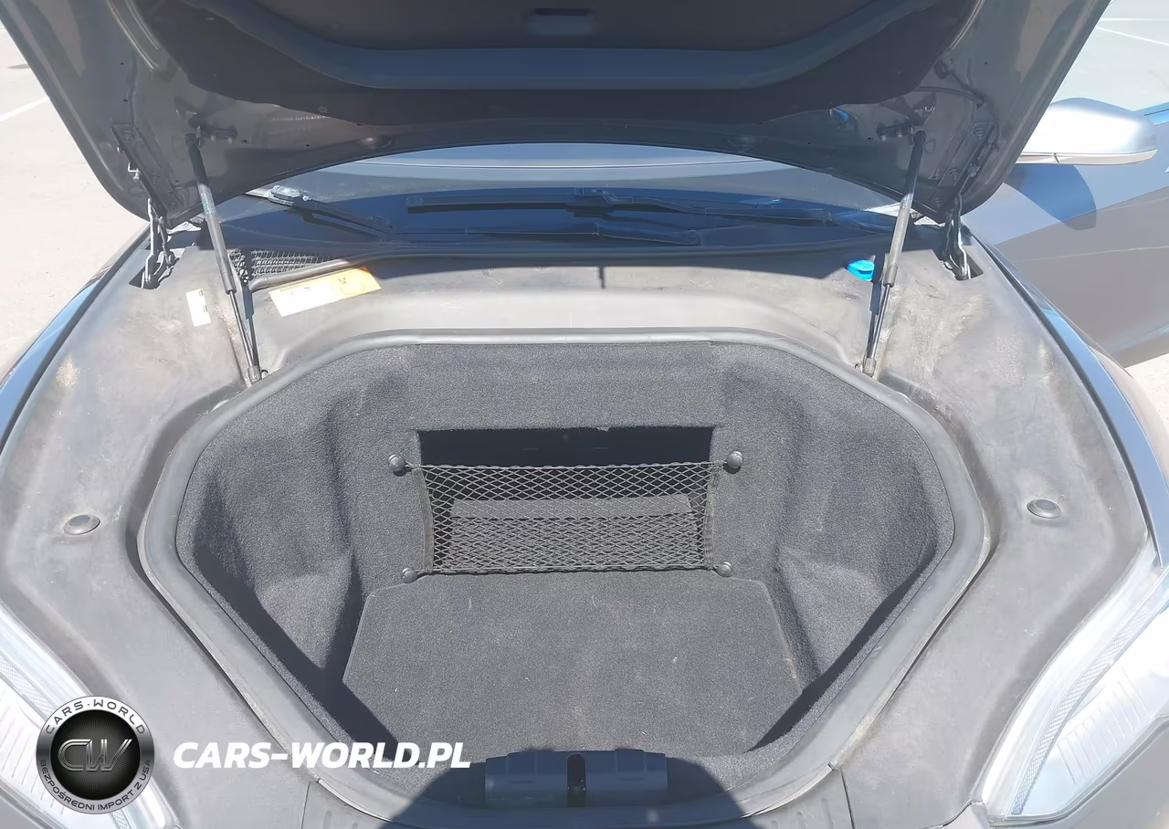 2013 Tesla Model S VIN:5YJSA1CG4DFP03659 - 10