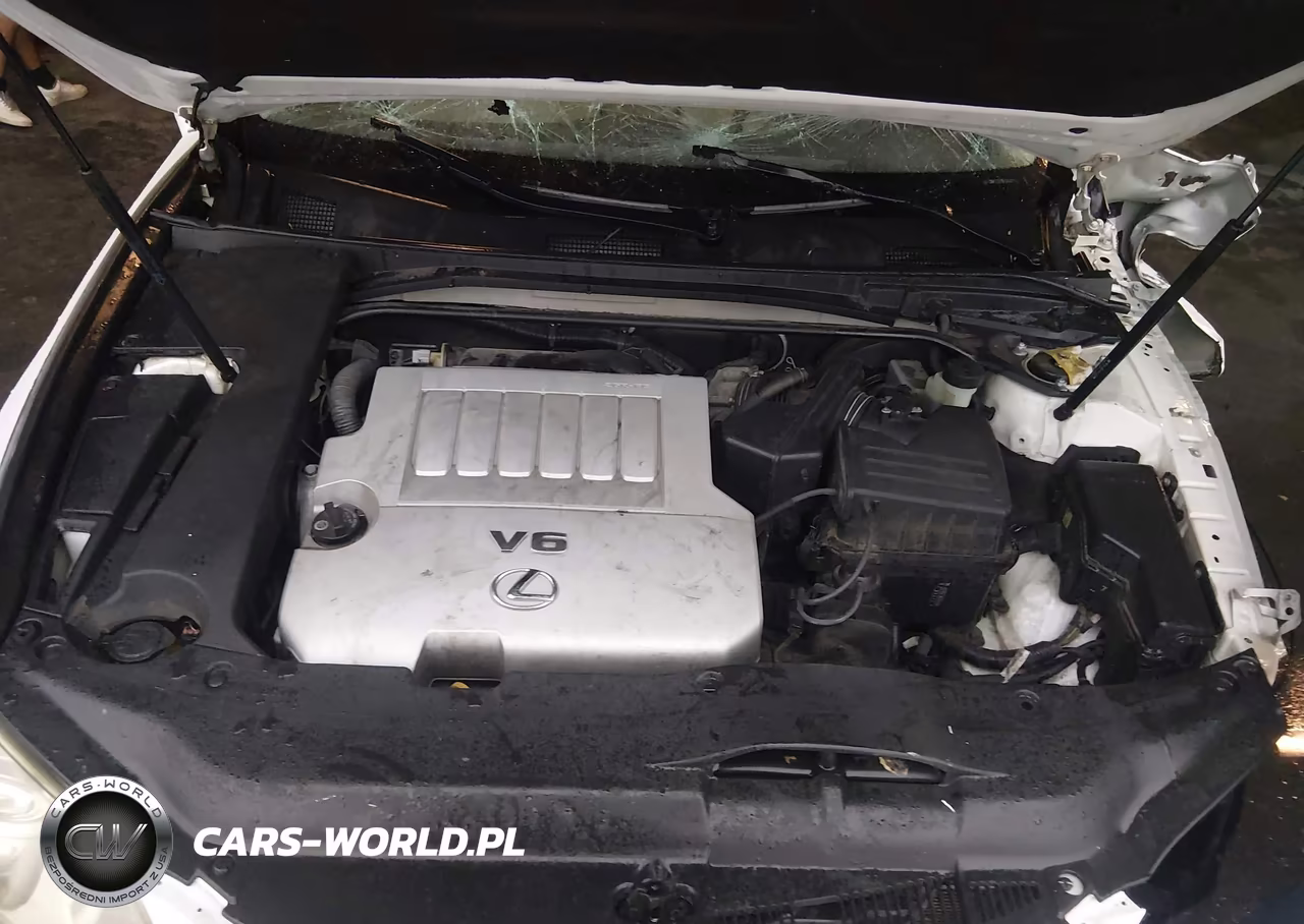 2009 Lexus Es 350 VIN:JTHBJ46G592300098 - 10