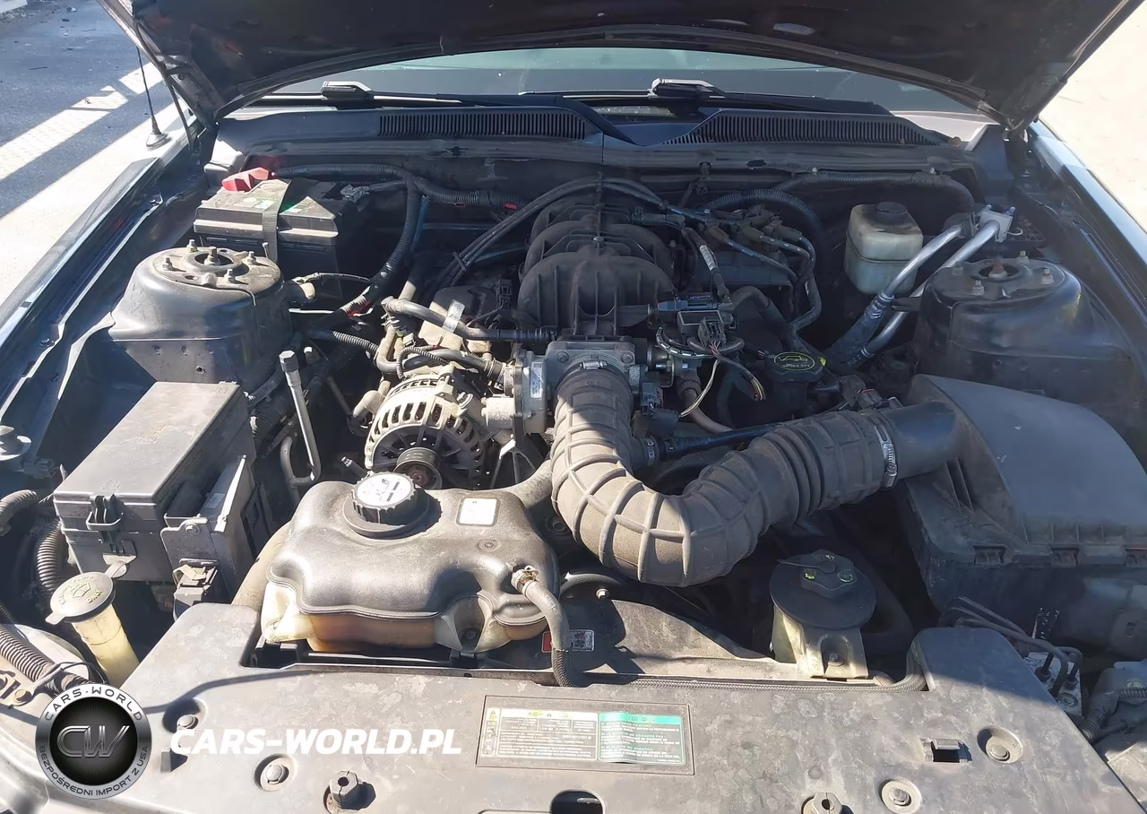 2007 Ford Mustang VIN:1ZVHT84N375254567 - 10