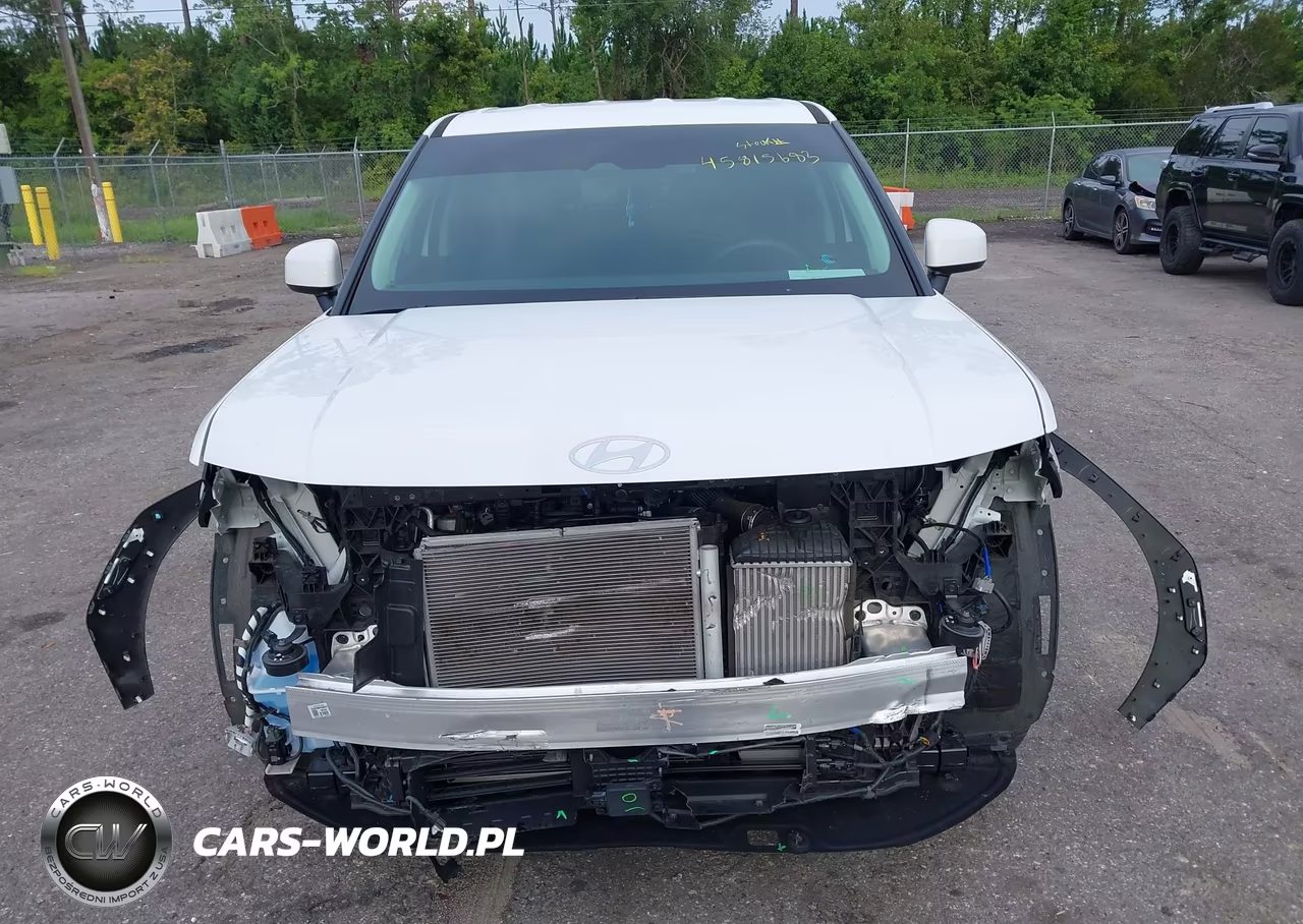2025 Hyundai Santa Fe Se VIN:5NMP14GL6SH094682 - 12