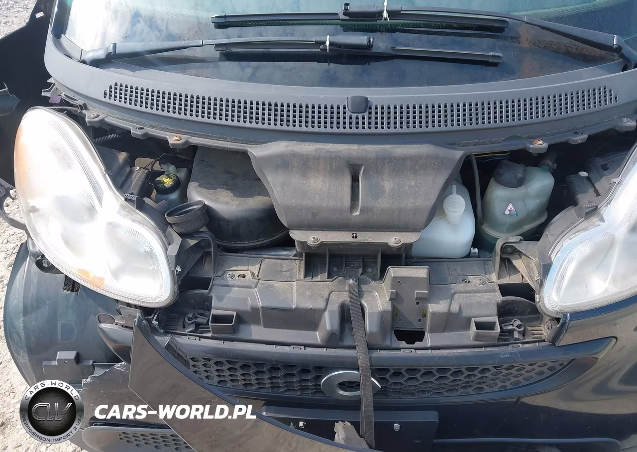 2013 Smart Fortwo Pure VIN:WMEEJ3BA6DK627310 - 10