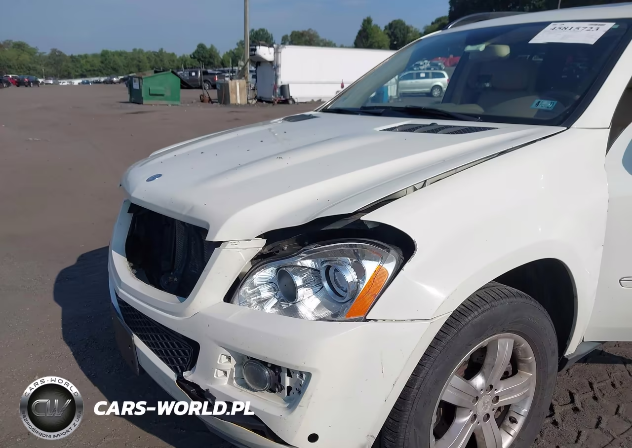 2008 Mercedes-Benz Gl 450 4Matic VIN:4JGBF71E08A336503 - 13