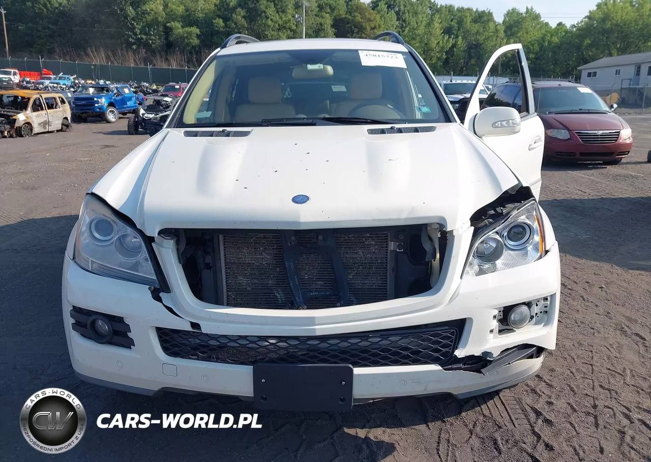 2008 Mercedes-Benz Gl 450 4Matic VIN:4JGBF71E08A336503 - 6
