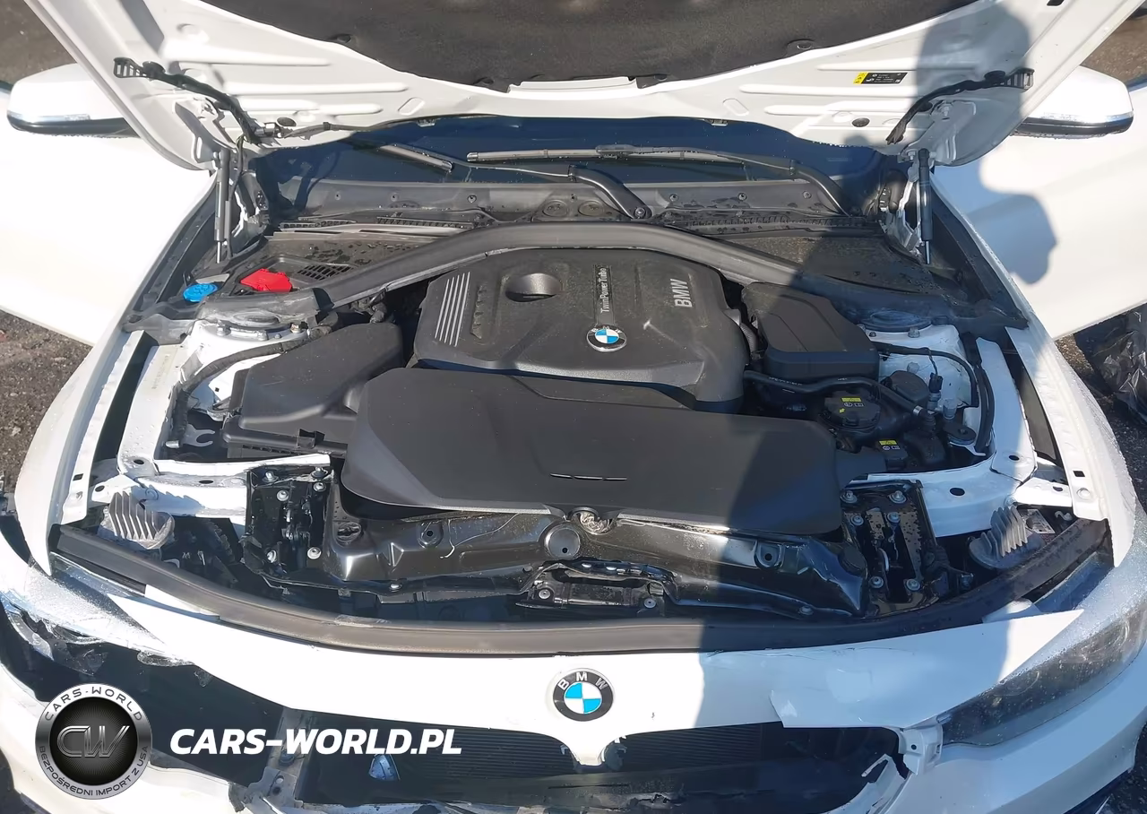 2018 BMW 430I Gran Coupe xDrive VIN:WBA4J3C52JBL02948 - 10