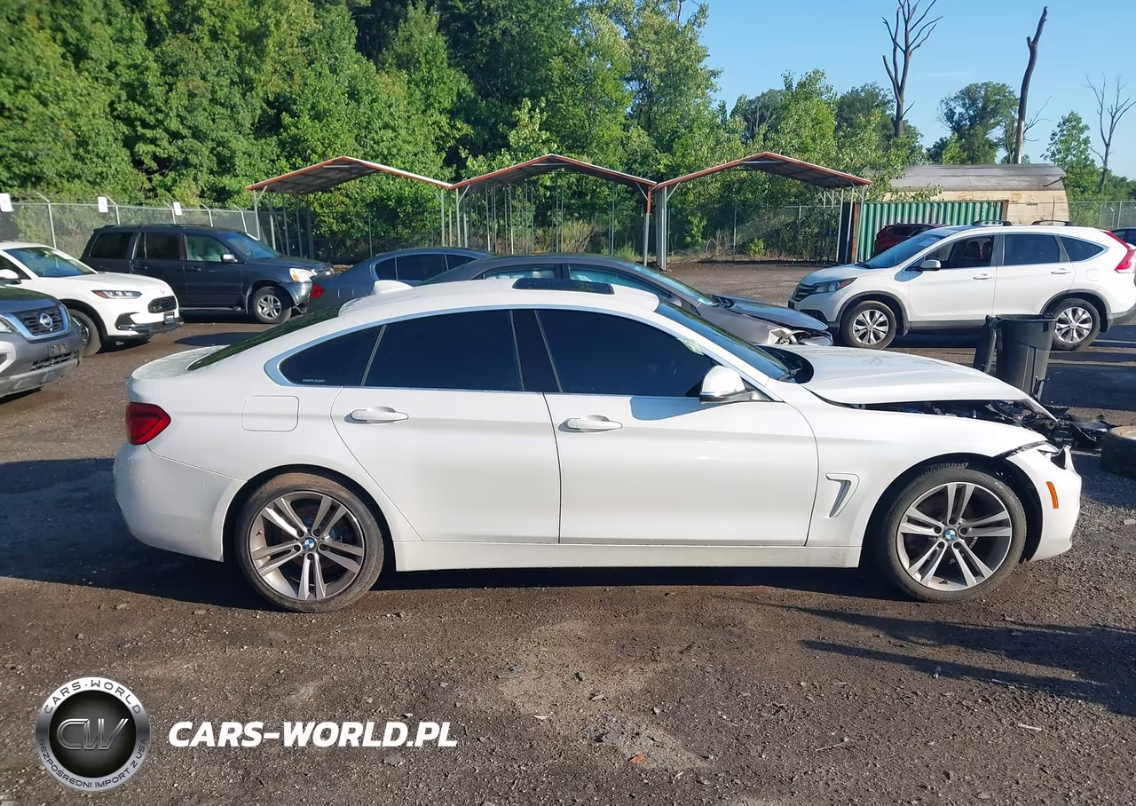 2018 BMW 430I Gran Coupe xDrive VIN:WBA4J3C52JBL02948 - 13