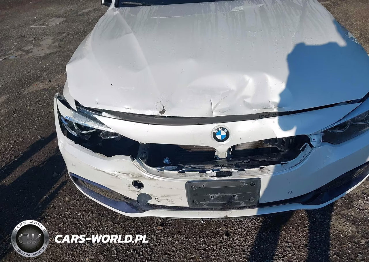 2018 BMW 430I Gran Coupe xDrive VIN:WBA4J3C52JBL02948 - 6