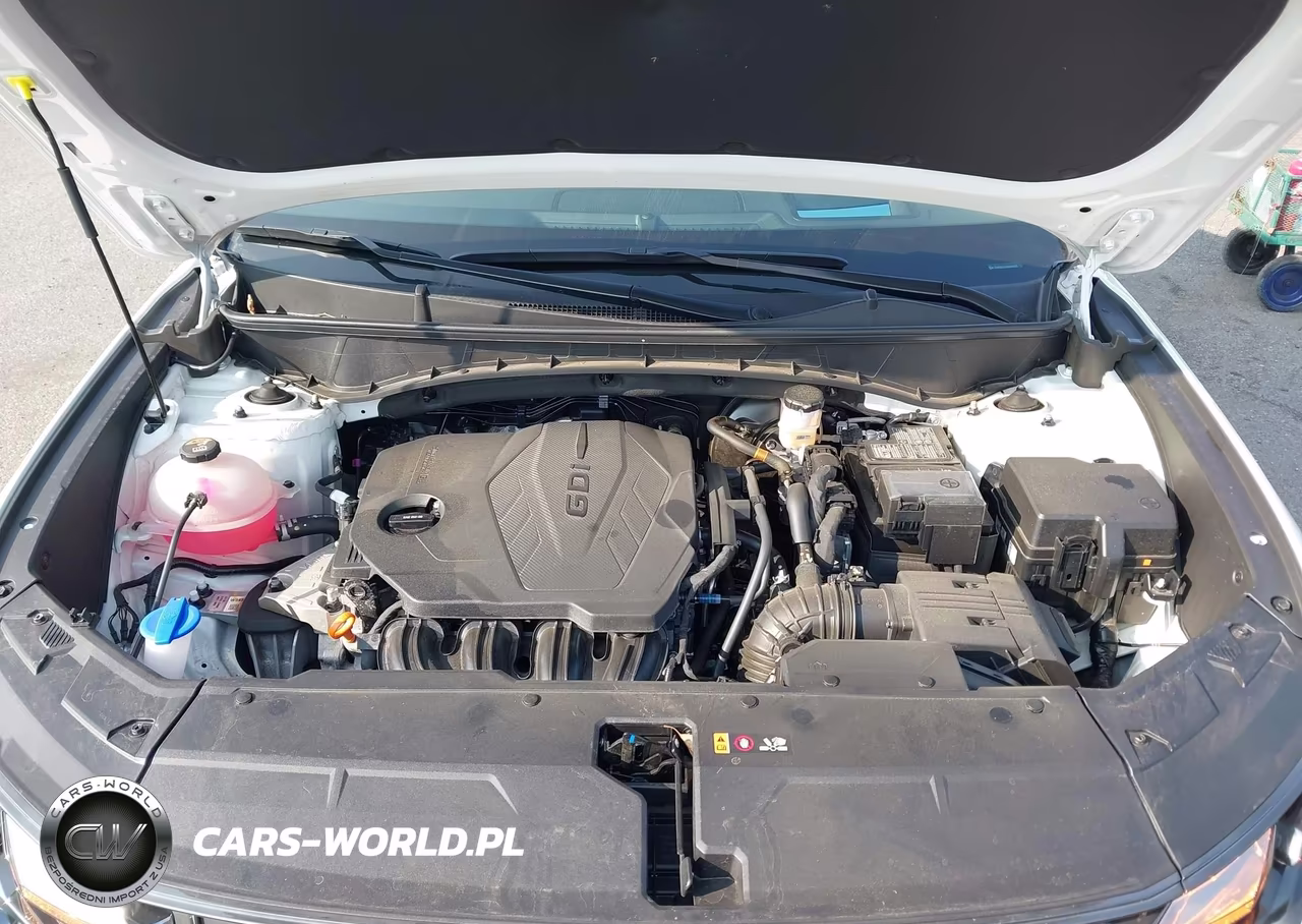2025 Hyundai Tucson Limited VIN:5NMJECDE9SH499073 - 10