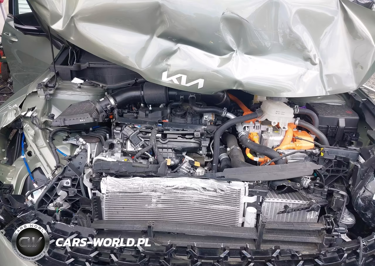 2024 Kia Sportage Plug-In Hybrid X-Line Prestige VIN:KNDPZDDH4R7146448 - 10