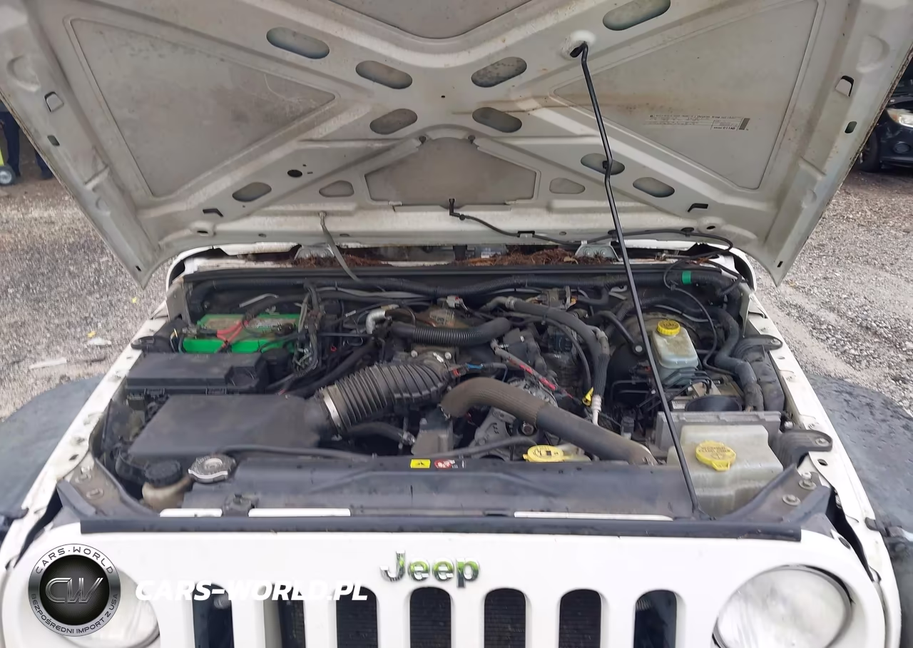 2010 Jeep Wrangler Sport VIN:1J4AA2D17AL145515 - 10