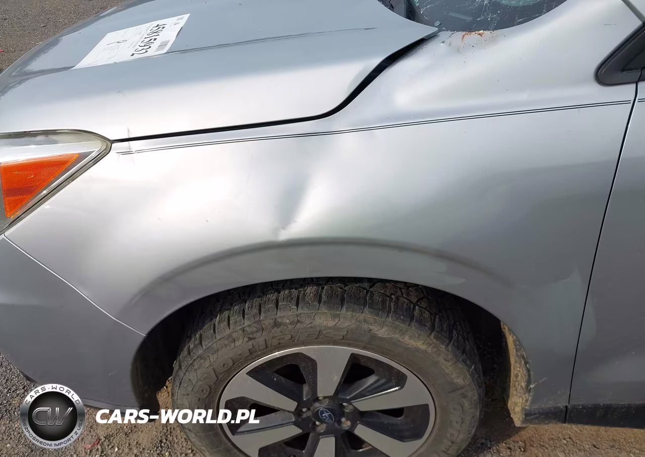 2015 Subaru Forester 2.5I VIN:JF2SJAAC5FG573627 - 19