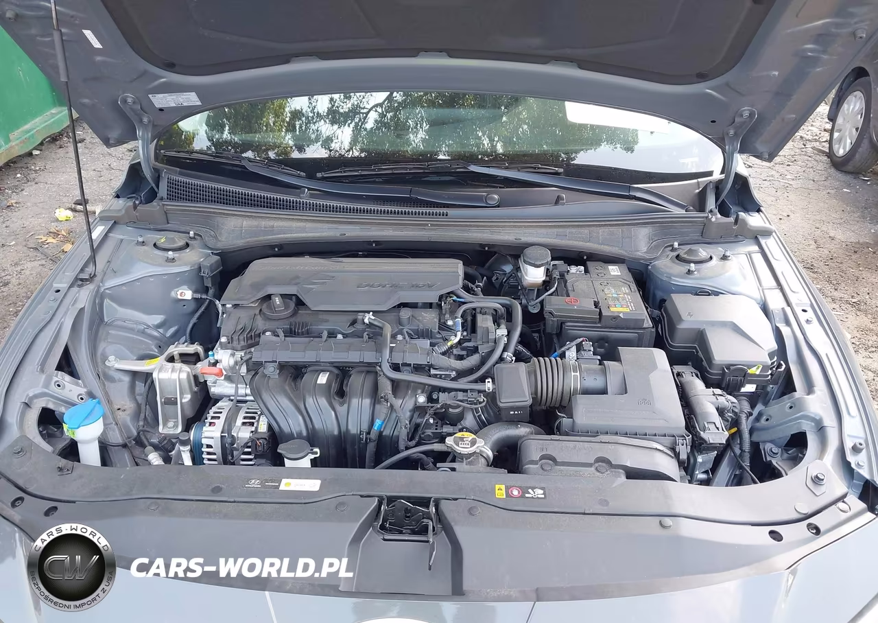 2024 Hyundai Elantra Limited VIN:KMHLP4DG8RU795596 - 10