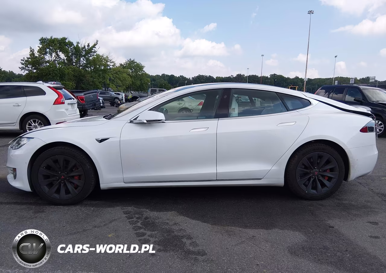 2019 Tesla Model S 100D-Long Range-P100D-Performance VIN:5YJSA1E49KF337455 - 14