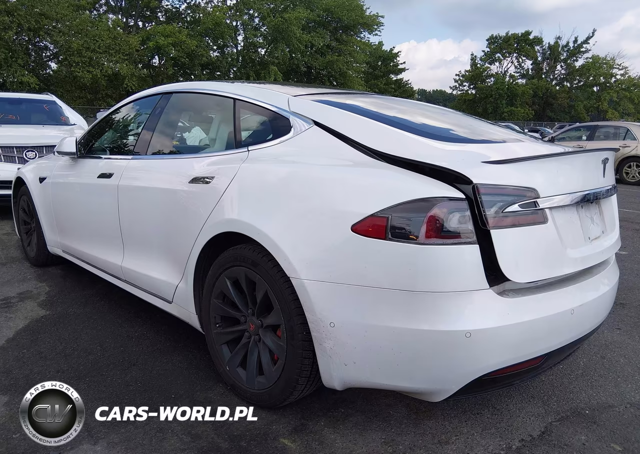 2019 Tesla Model S 100D-Long Range-P100D-Performance VIN:5YJSA1E49KF337455 - 3