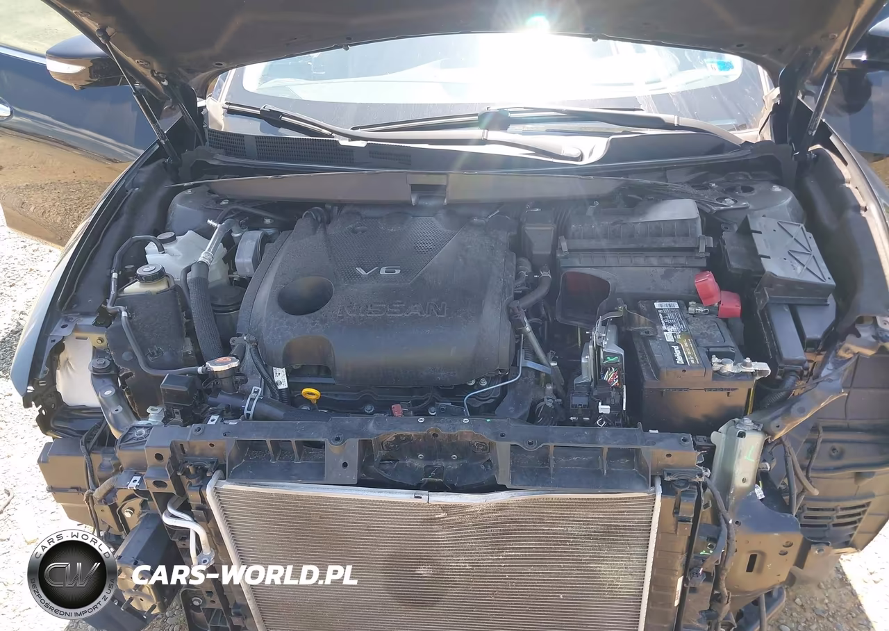2020 Nissan Maxima Platinum Xtronic Cvt VIN:1N4AA6FV5LC381411 - 10
