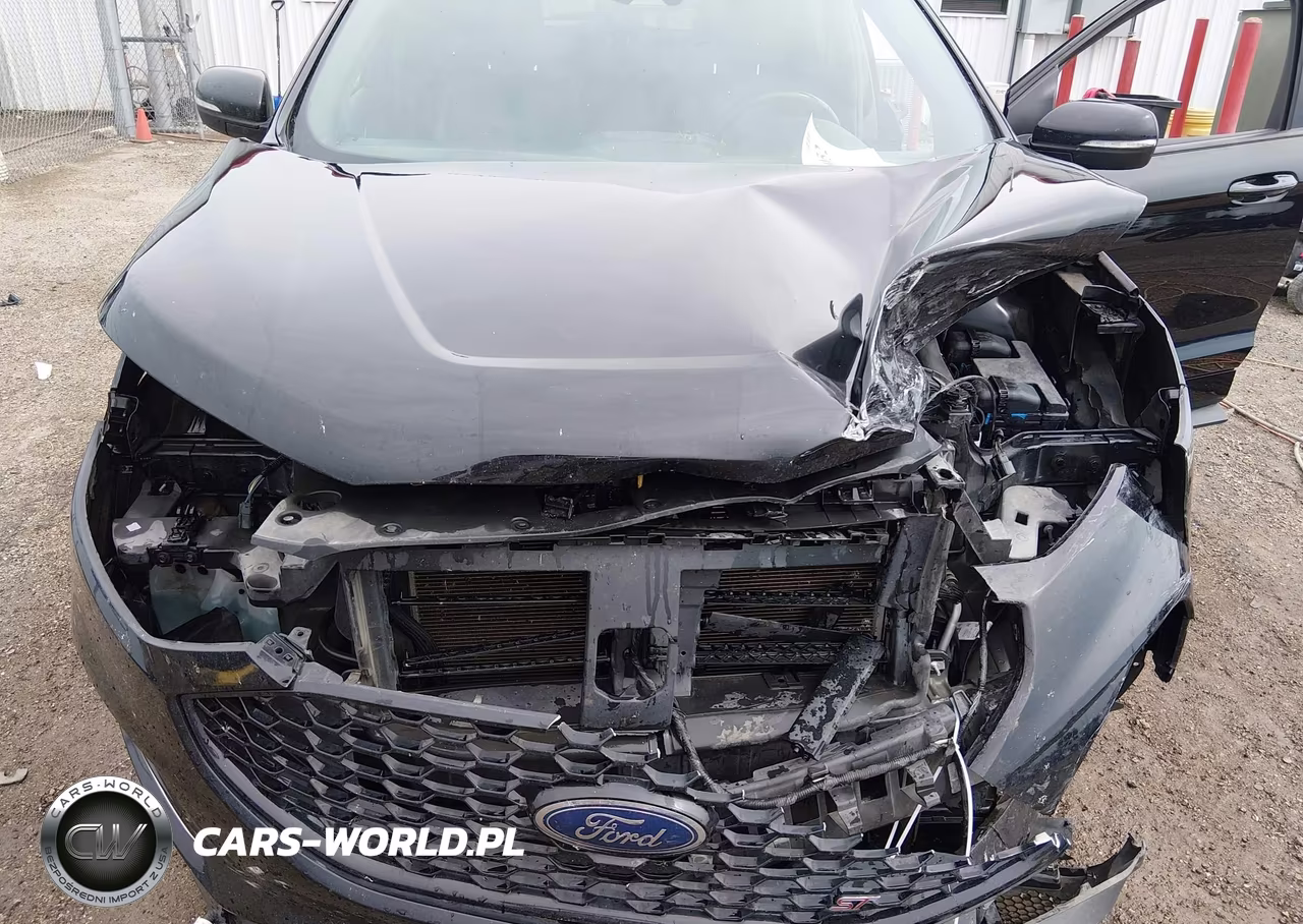 2020 Ford Edge St VIN:2FMPK4APXLBA96407 - 10
