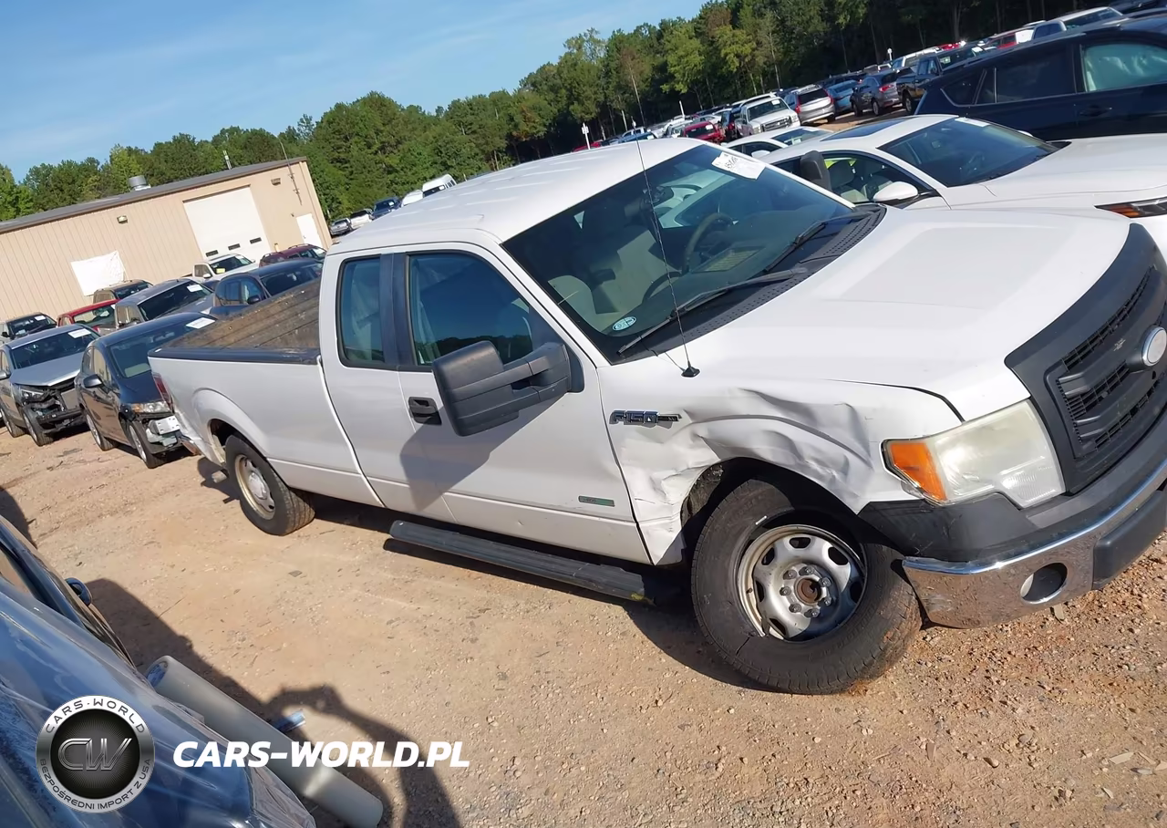 2013 Ford F-150 Xl W-Hd Payload Pkg VIN:1FTVX1CT8DKE18930 - 13