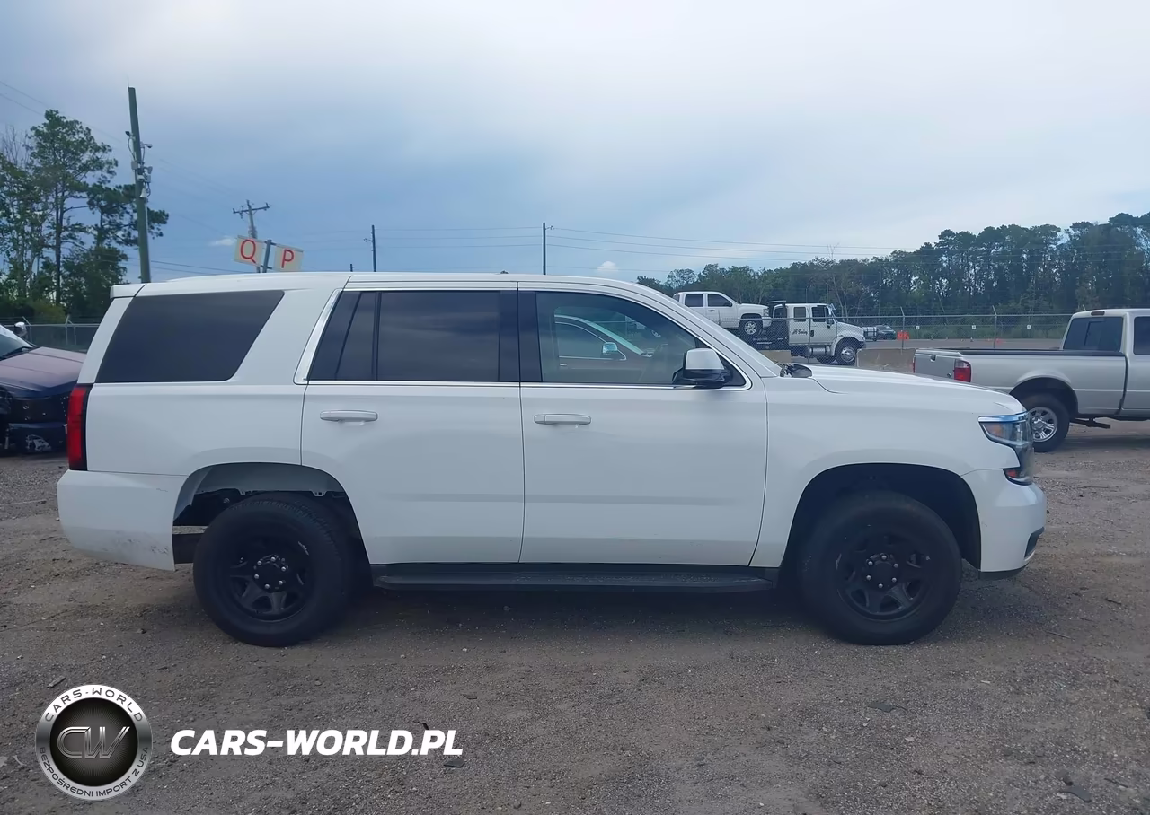 2019 Chevrolet Tahoe Commercial Fleet VIN:1GNLCDEC2KR373559 - 13