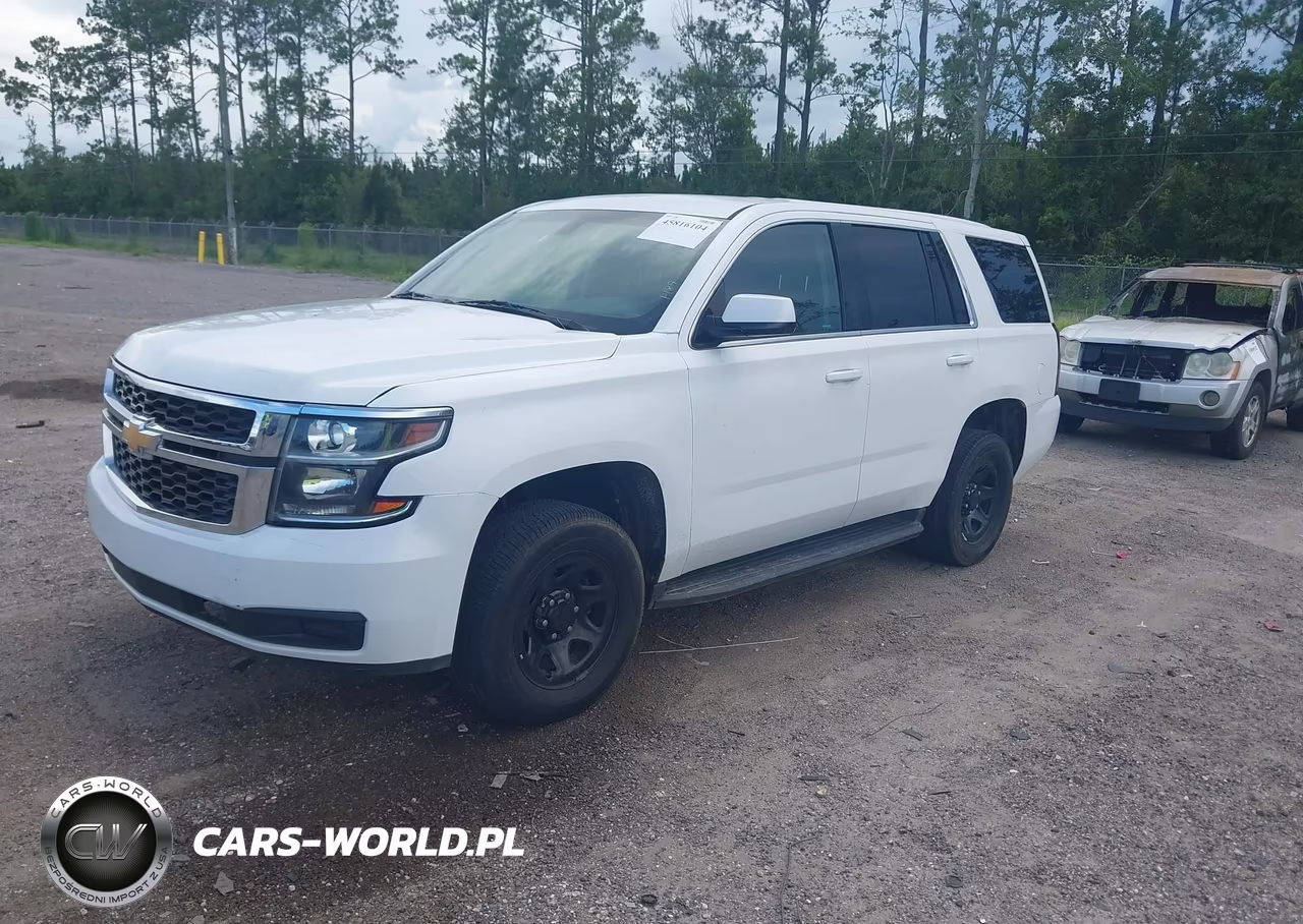 2019 Chevrolet Tahoe Commercial Fleet VIN:1GNLCDEC2KR373559 - 2