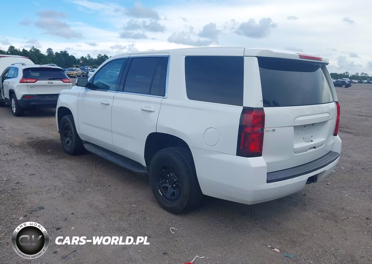 2019 Chevrolet Tahoe Commercial Fleet VIN:1GNLCDEC2KR373559 - 3