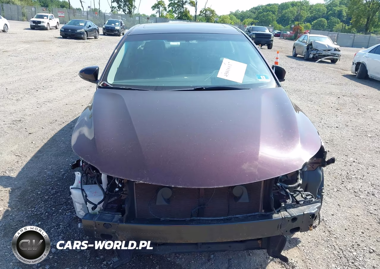 2016 Toyota Avalon Xle Plus VIN:4T1BK1EB6GU202178 - 13