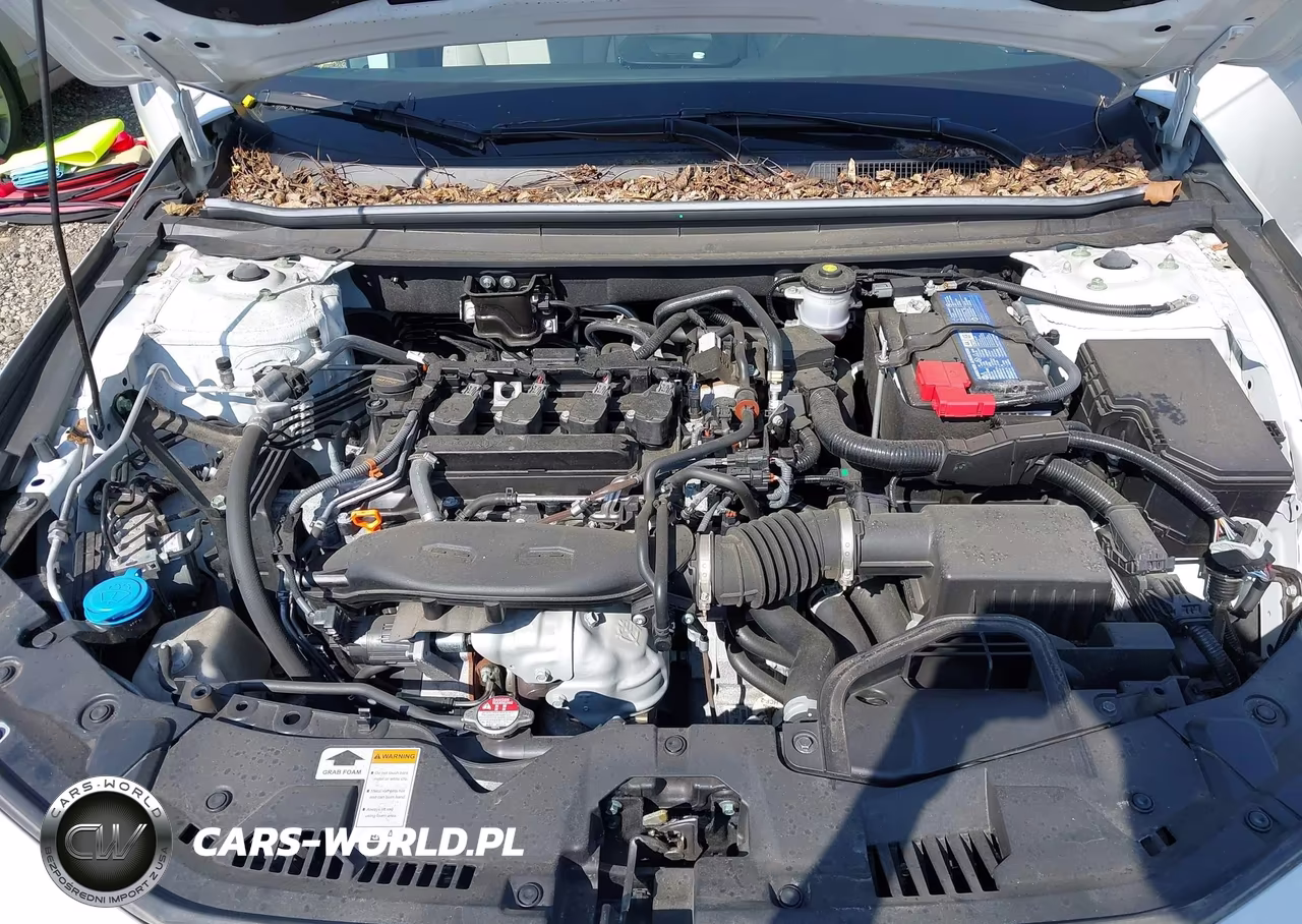 2024 Honda Accord Ex VIN:1HGCY1F38RA039781 - 10