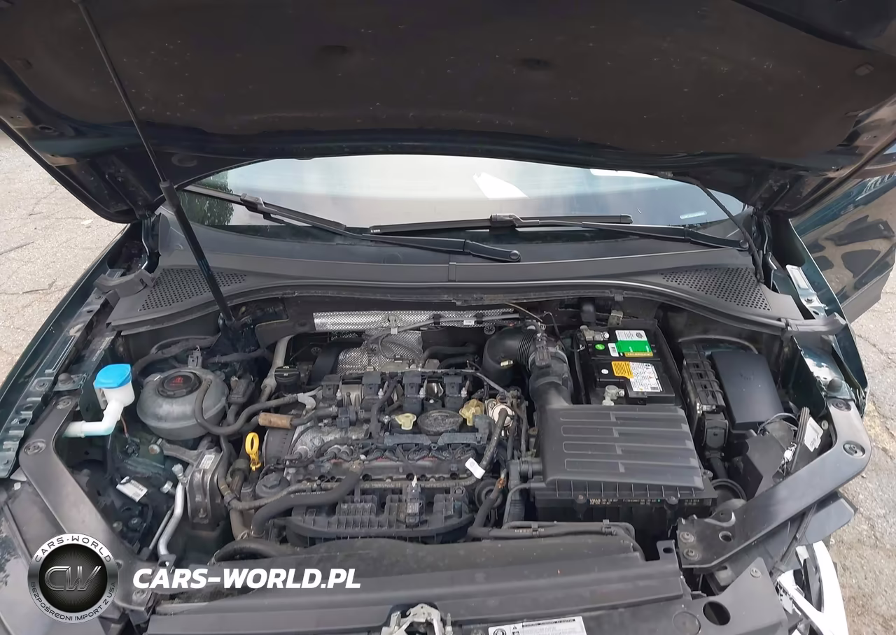 2019 Volkswagen Tiguan 2.0T S VIN:3VV0B7AX2KM065027 - 10