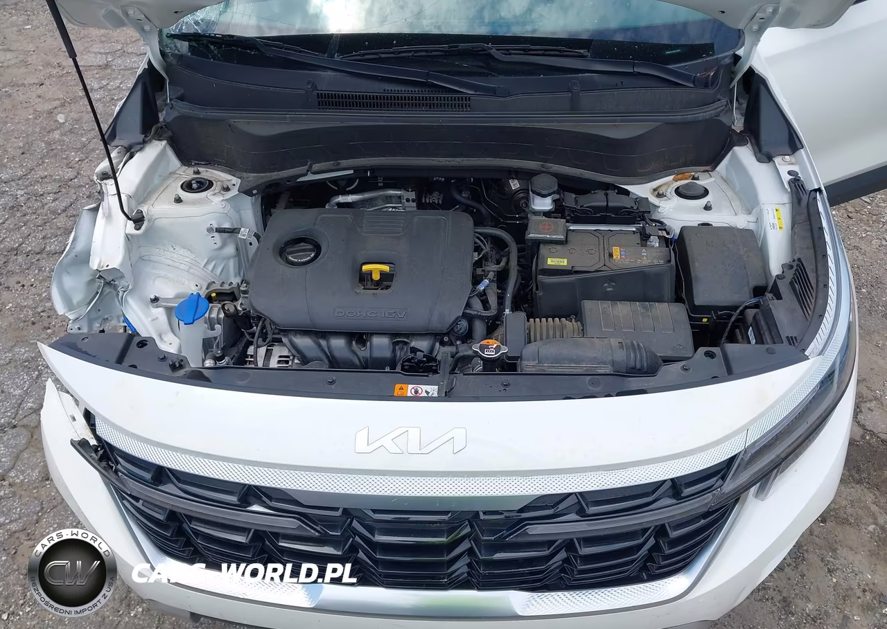 2024 Kia Seltos Ex VIN:KNDER2AA1R7638891 - 10