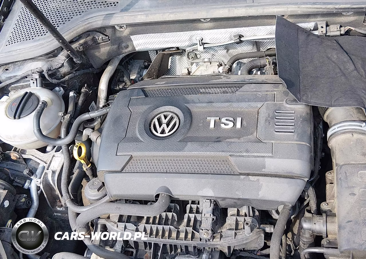 2016 Volkswagen Golf Tsi S 4-Door VIN:3VW217AU6GM036151 - 10
