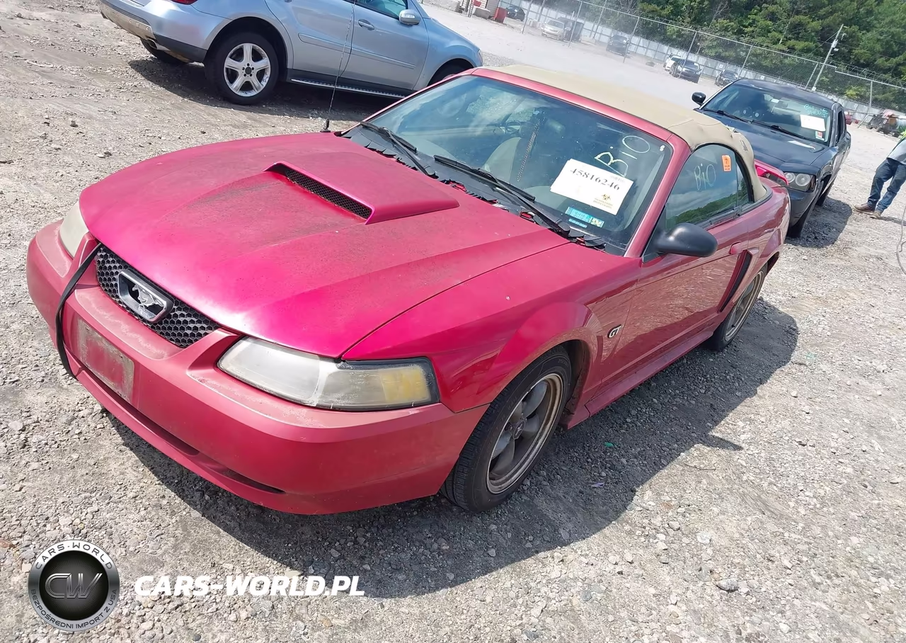 2001 Ford Mustang Gt VIN:1FAFP45X41F129172 - 2