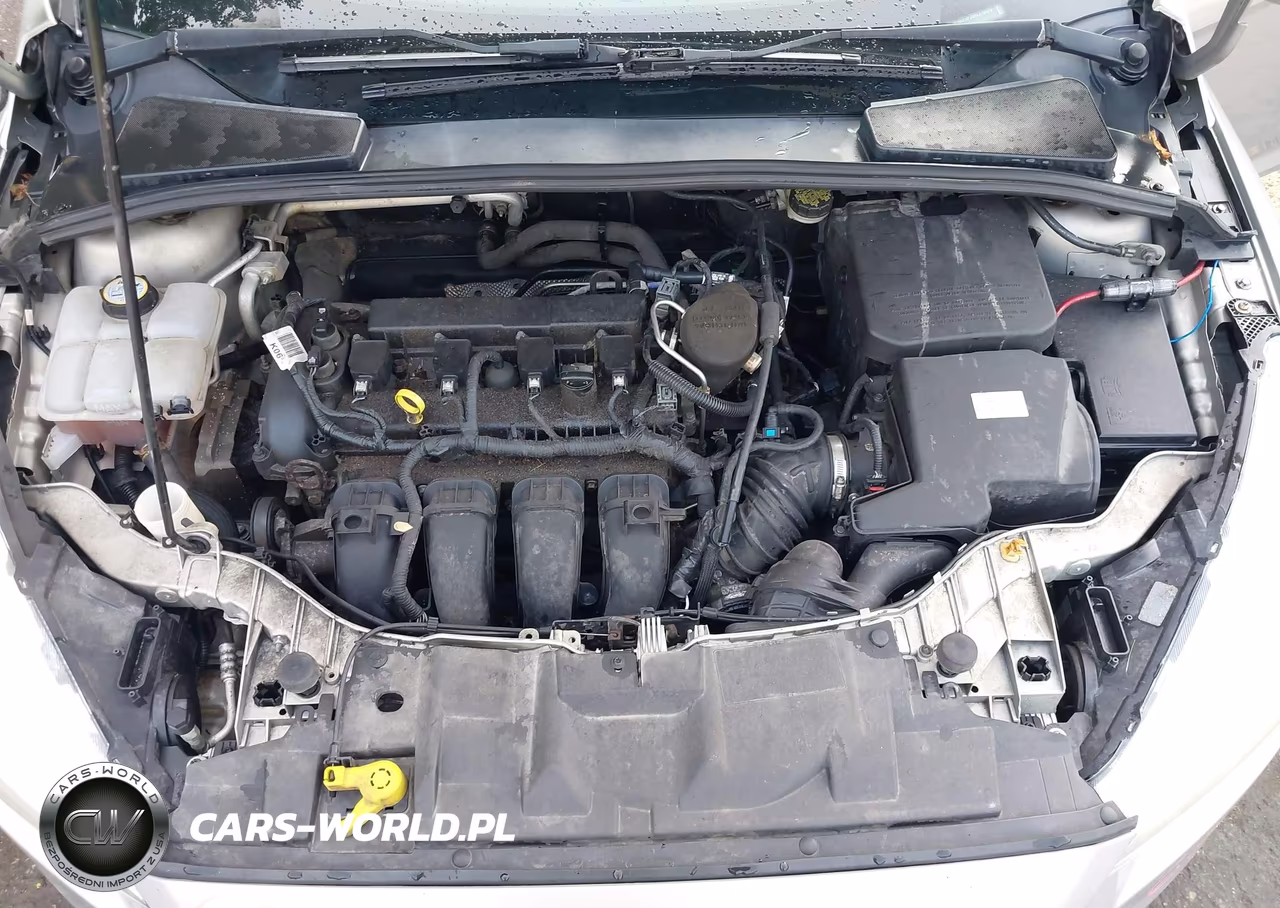 2015 Ford Focus Se VIN:1FADP3F28FL270579 - 10