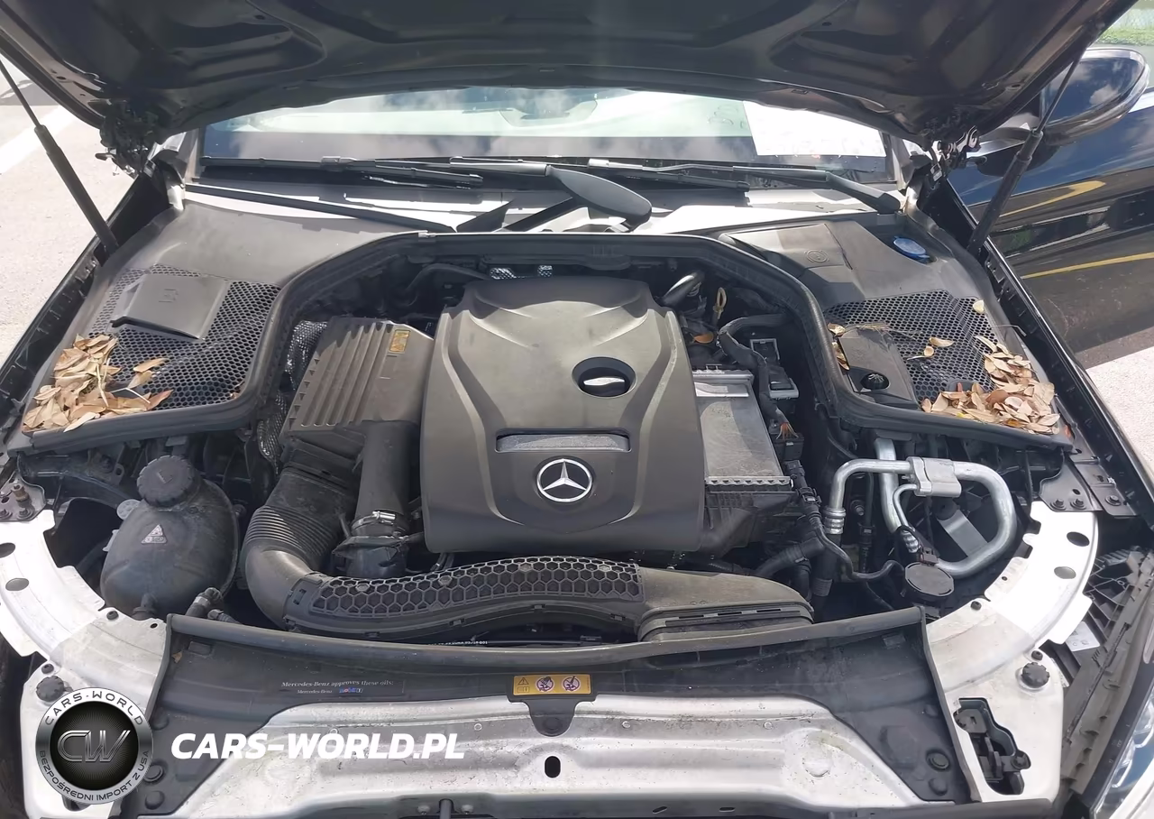 2018 Mercedes-Benz C 300 VIN:WDDWF4JB6JR412197 - 10