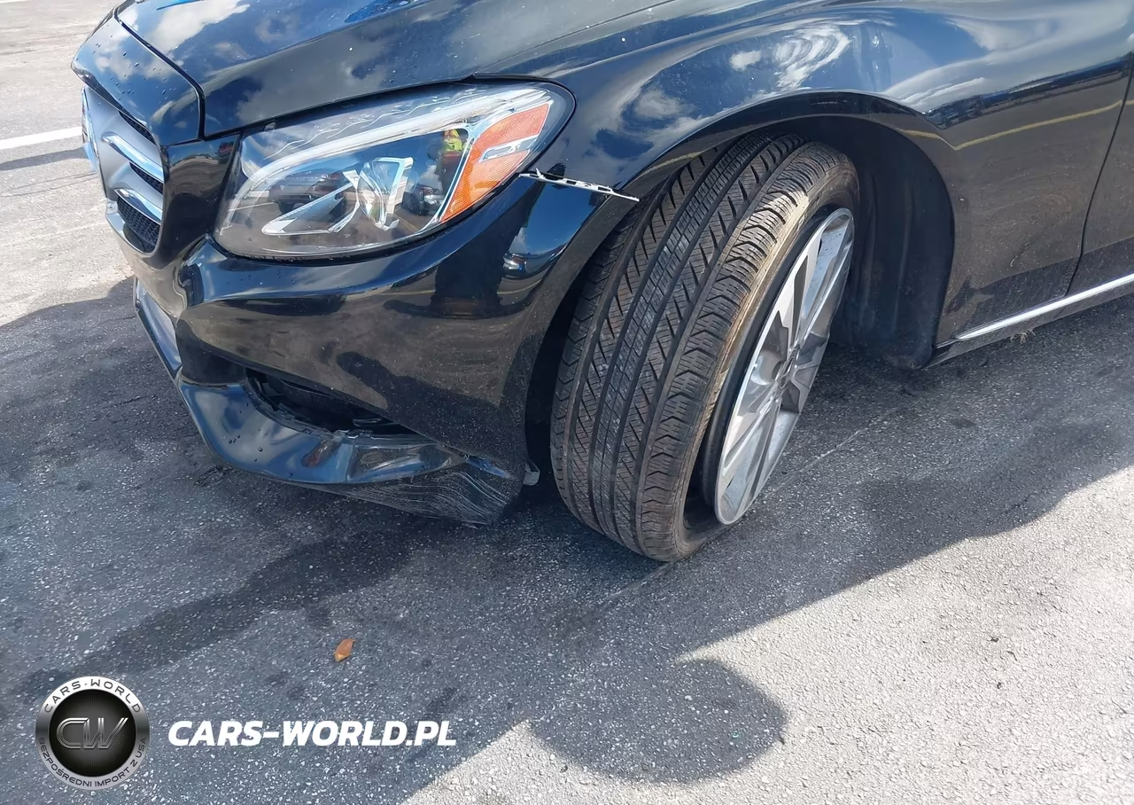 2018 Mercedes-Benz C 300 VIN:WDDWF4JB6JR412197 - 19