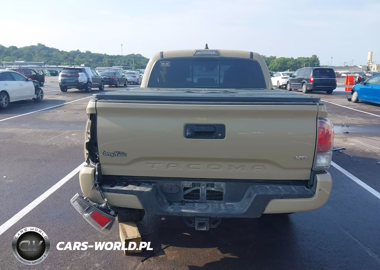 2020 Toyota Tacoma Trd Sport VIN:3TMCZ5AN0LM290221 - 17