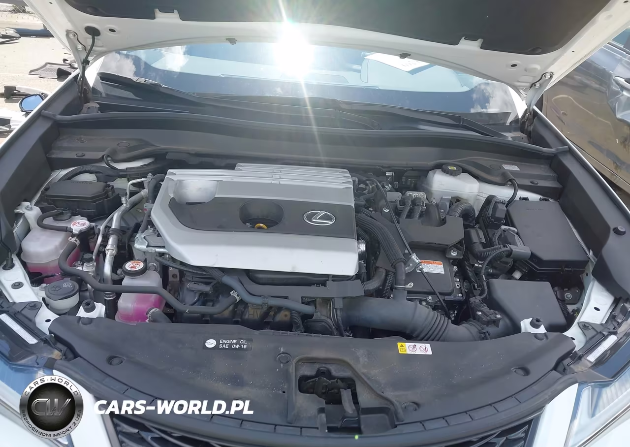 2024 Lexus Ux 250H VIN:JTHR9JBH4R2071112 - 10