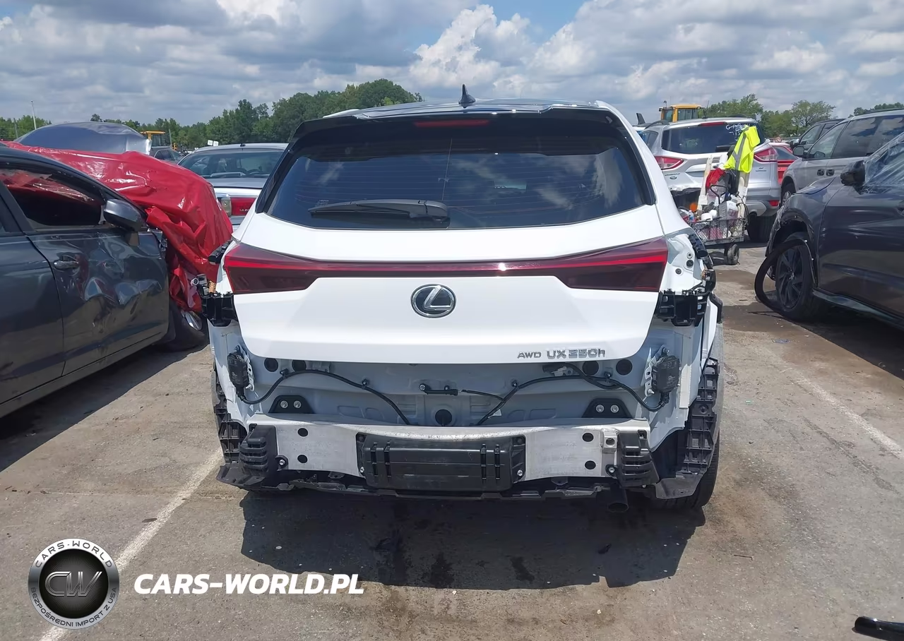 2024 Lexus Ux 250H VIN:JTHR9JBH4R2071112 - 17