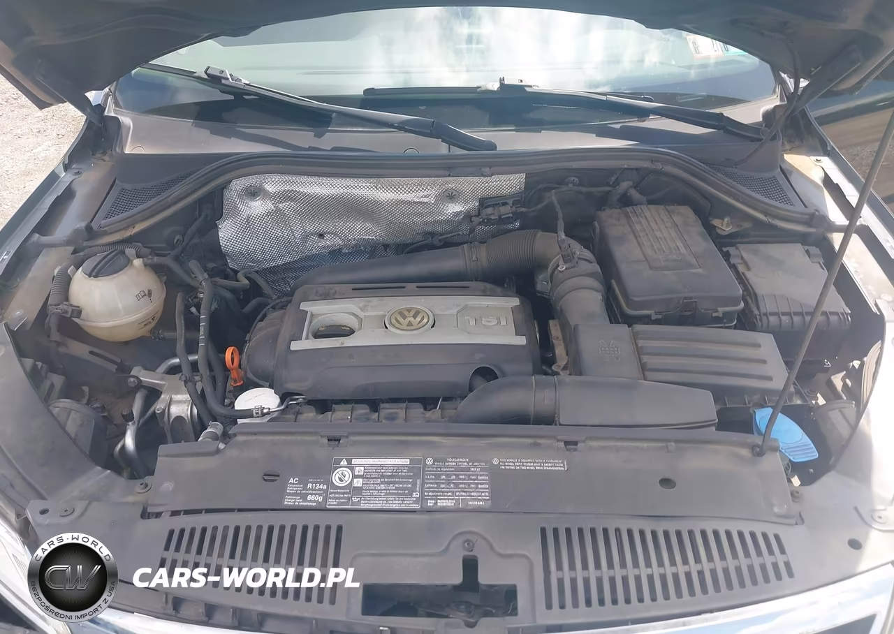 2009 Volkswagen Tiguan Se-Sel VIN:WVGBV75N79W500668 - 10