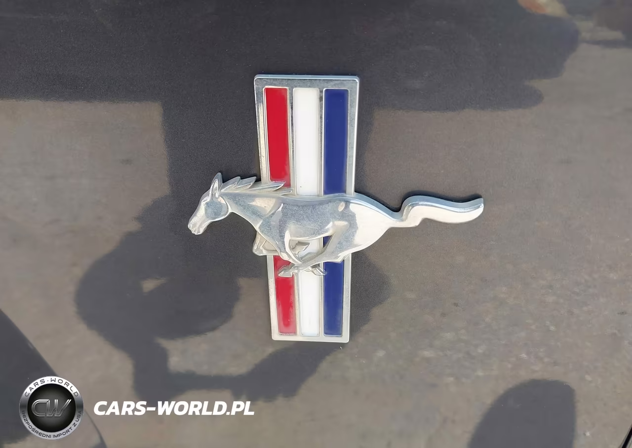 2007 Ford Mustang V6 Deluxe-V6 Premium VIN:1ZVHT80N275305174 - 6
