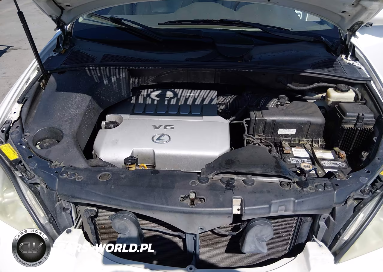 2007 Lexus Rx 350 VIN:2T2GK31U97C012056 - 10