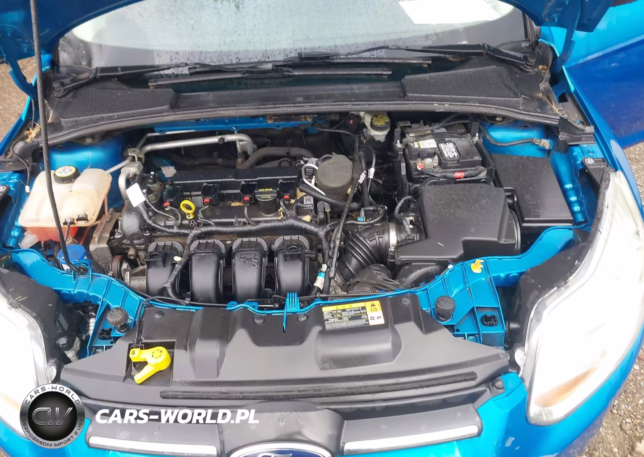 2013 Ford Focus Se VIN:1FADP3F23DL371994 - 10