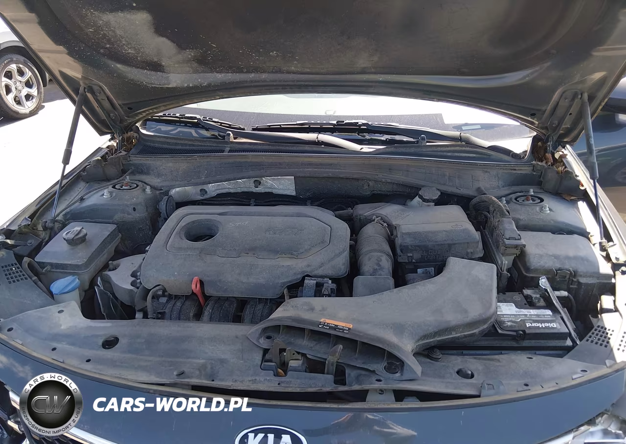 2016 Kia Optima Lx VIN:KNAGT4L34G5073501 - 10