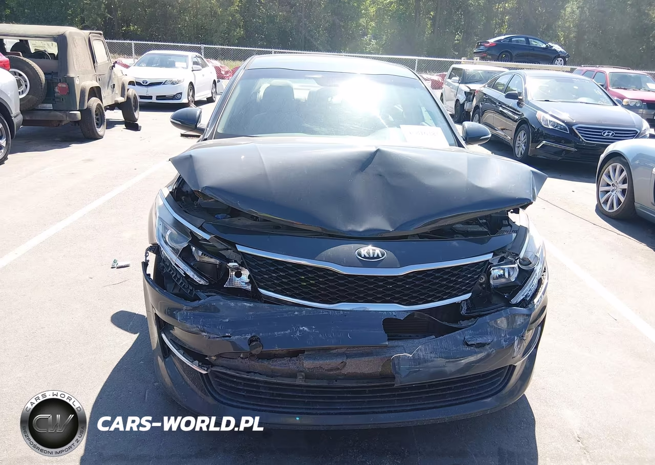 2016 Kia Optima Lx VIN:KNAGT4L34G5073501 - 12